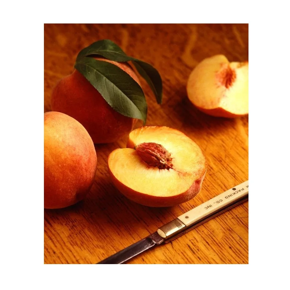Свежие фруктовые персики высшего качества для продажи по лучшей цене (10000009914779)