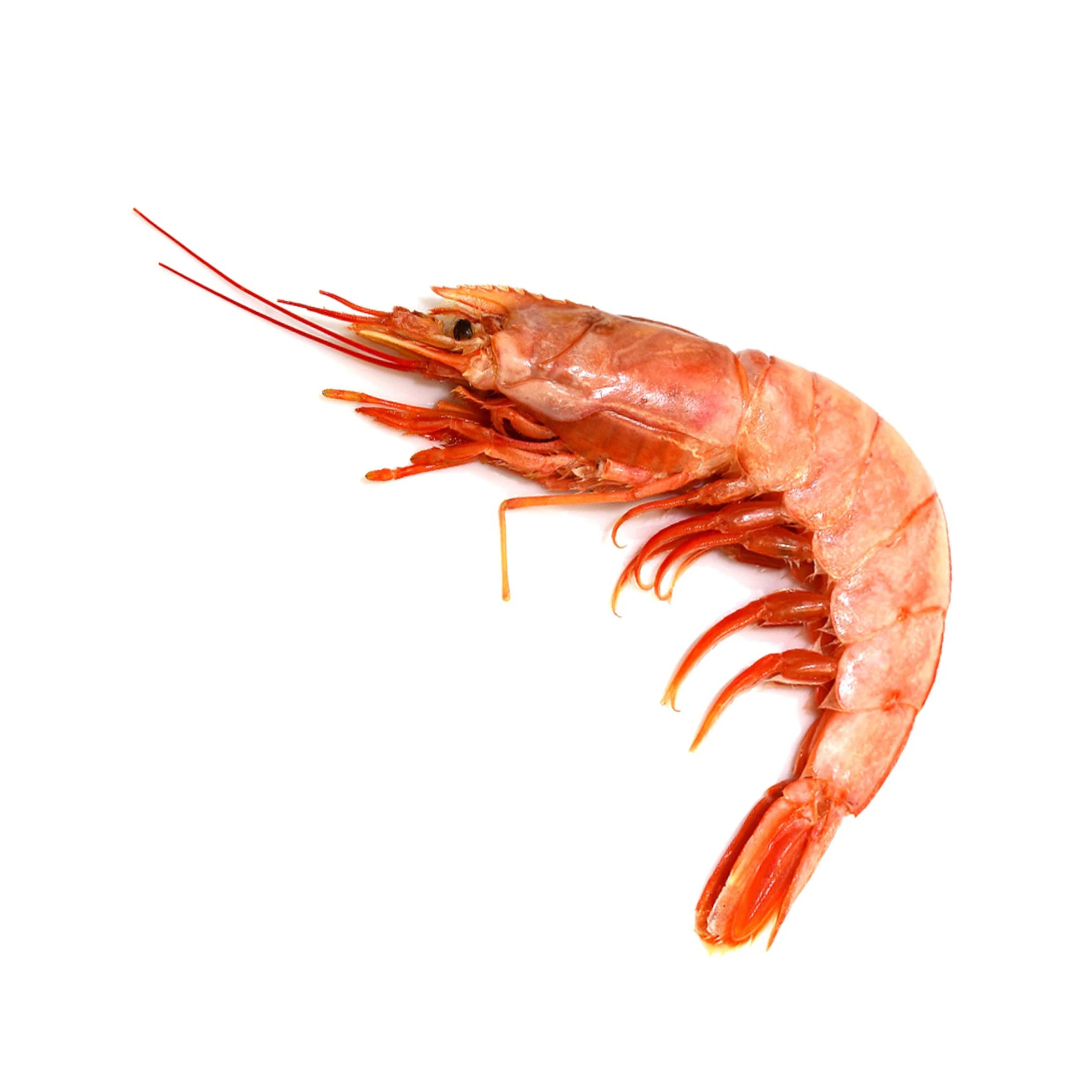 Дешевые креветки из морепродуктов высокого качества замороженные Vannamei цена Замороженные дикие красные для продажи