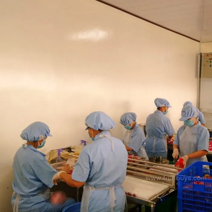 Dried Dragon Fruit & Vegetable Snacks Wholesale Dry Fruit with Real Fruit Flavors and No Minimum Order Quantity