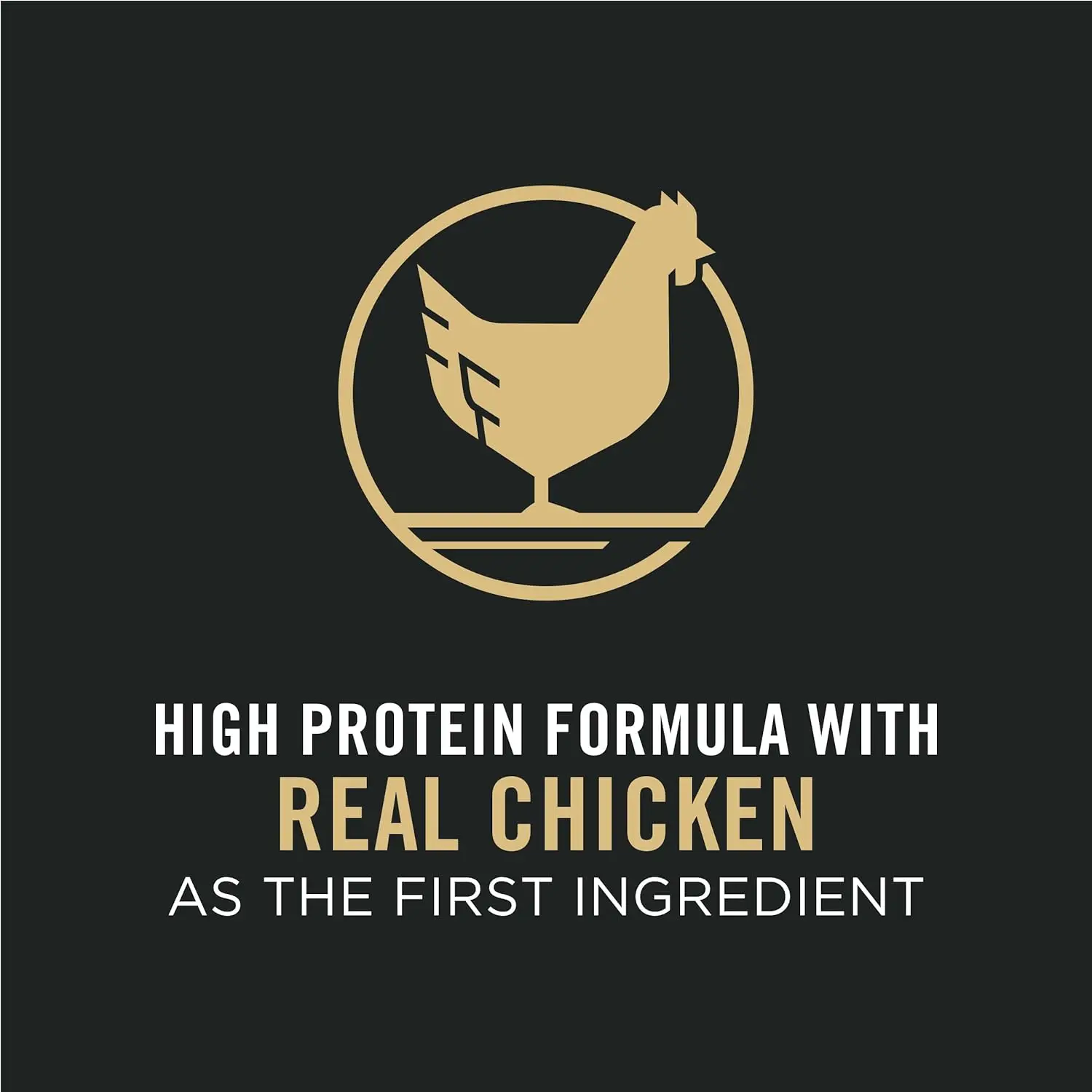 Small Breed Dog Food With Probiotics for Dogs, Shredded Blend Chicken & Rice Formula - 6 lb. Bag