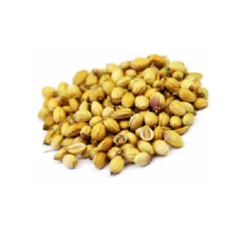 Top Quality Pure 100% Coriander Seeds wholesale Spices Herbs & Condiments Dry Coriander Seeds Coriander Seeds Bulk Price