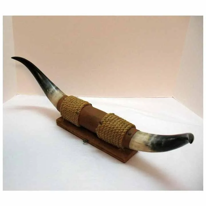 Decorative Horn Mounted Natural Buffalo Horn Hot Selling Product Pair Horn For Wall Decoration