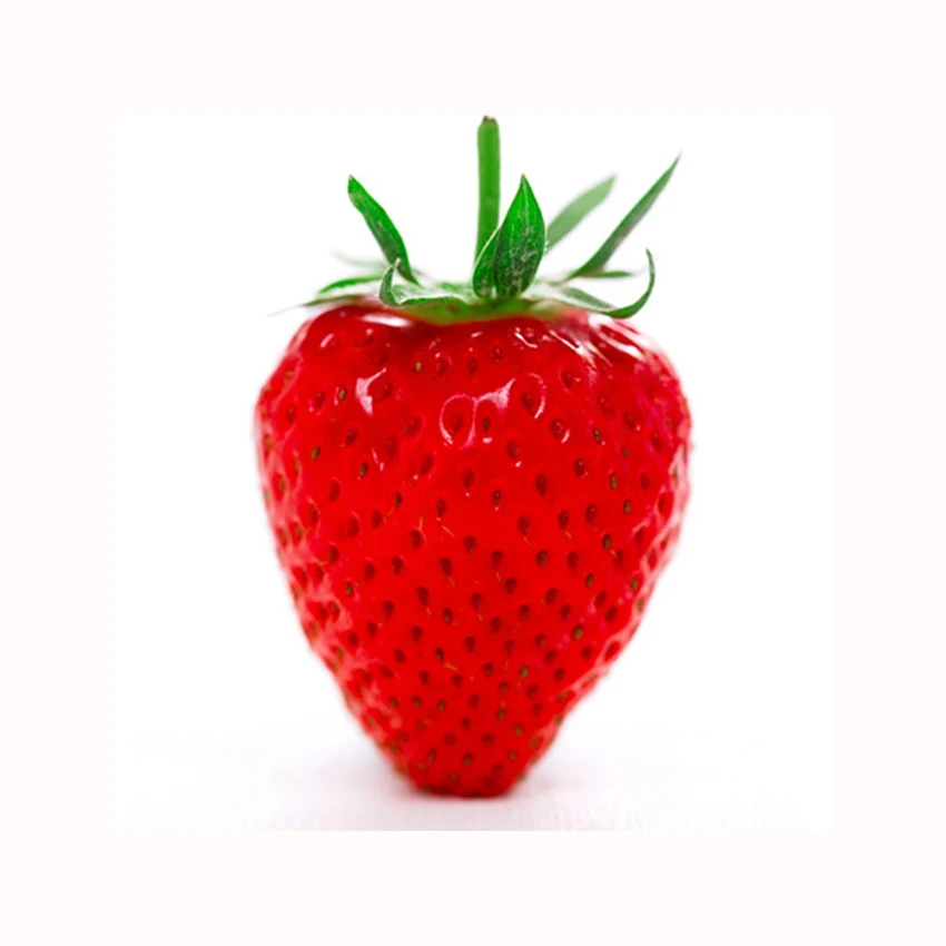 Quality Discount Price Red Sweet Strawberry Fruit