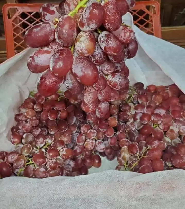High Quality Fresh Grapes Red Globe crimson grapes
