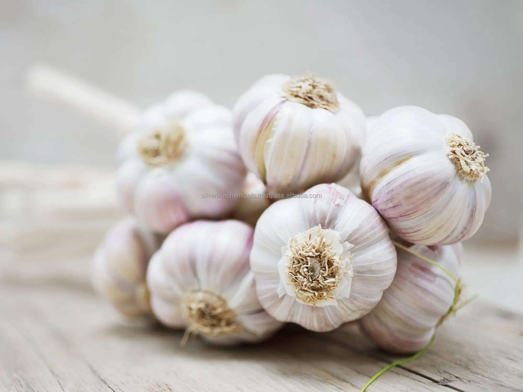 Wholesale Best Quality Essential Oil Garlic Oil Manufacturer