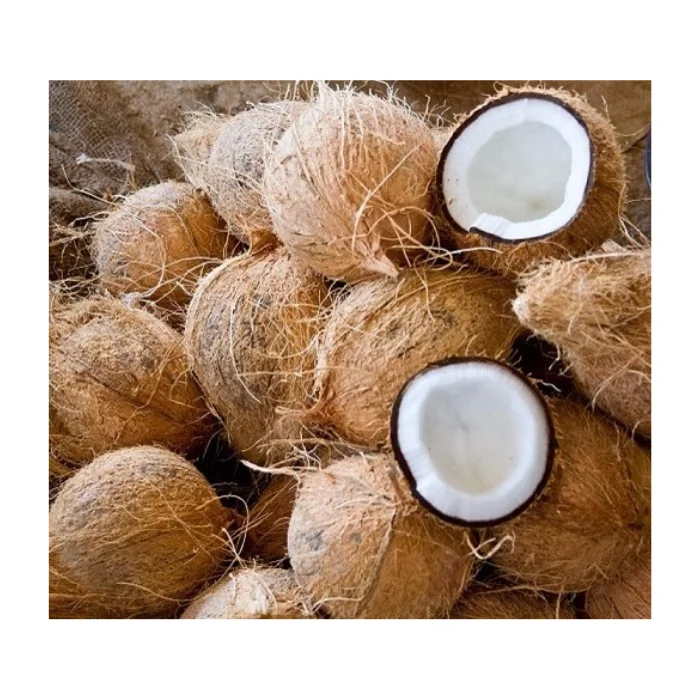 Semi Husk Coconut with High Quality from Vietnam