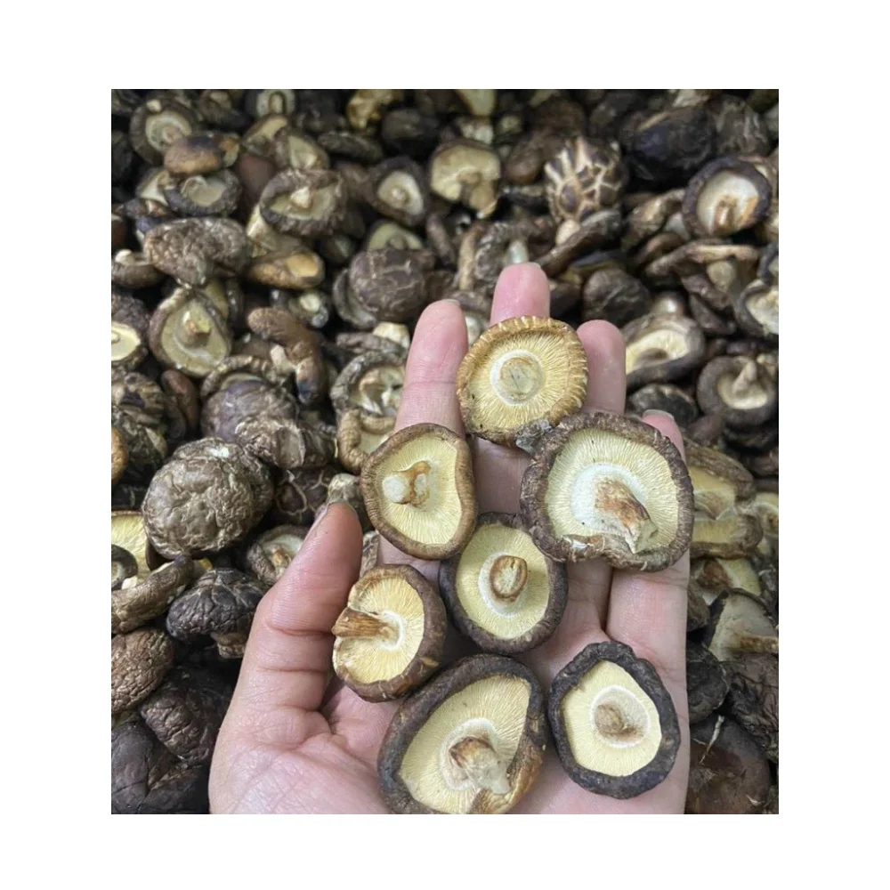 1kg 4cm Wholesale Bulk Dried Shiitake Mushroom Prices 99GD Raw Material Flavors High Quality