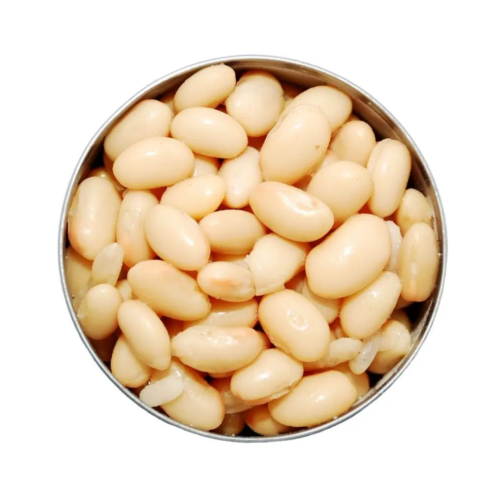 ALDERA Natural Non Gmo Canned White Kidney Beans Cannellini Beans from Turkish Manufacturer