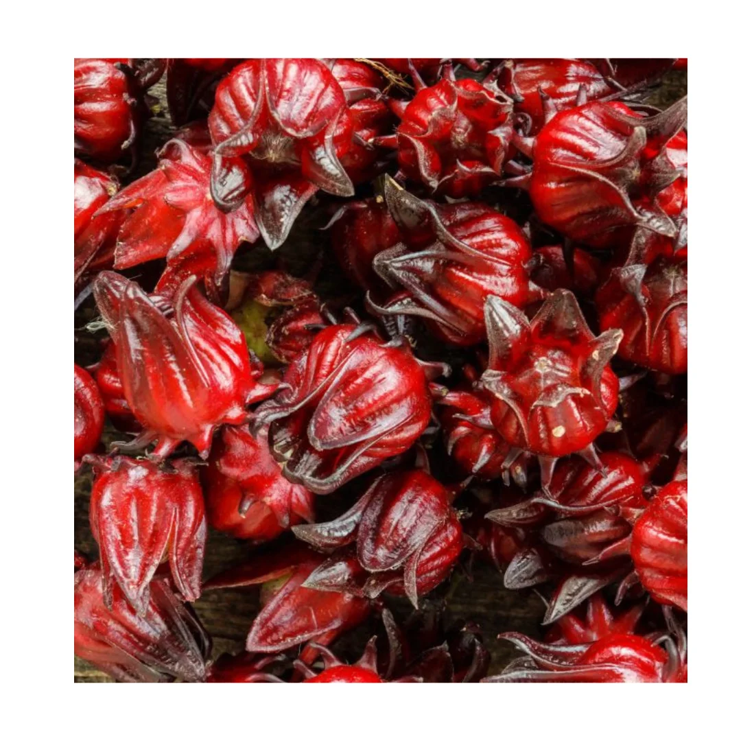Best Price Delicious Sweet and Irresistible Dried Hibiscus Flower With High Quality Wholesale in Bulk