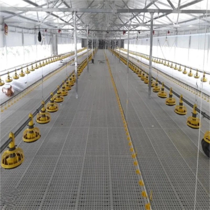 Thermal Insulation Air Convection Poultry Farming Animal Shed Steel Structure Building Chicken Cow House