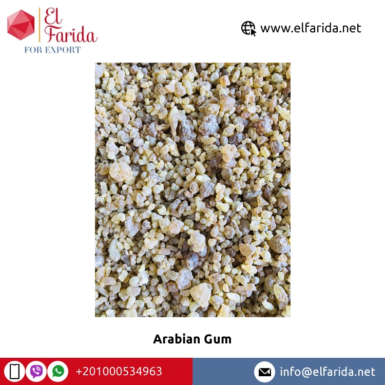 Egypt Origin Wholesaler Selling Best Quality Confectionery White Or Yellow Arabian Gum for Sale at Reliable Market Price