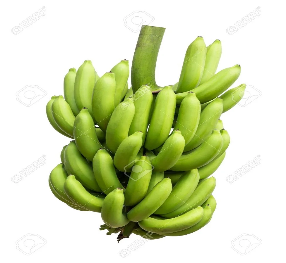 Fresh  Cavendish Tropical Banana For Sale