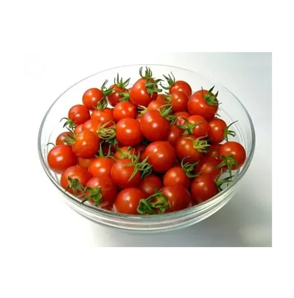 Egypt Origin Supplier Selling Best Quality Fresh Vegetables Products Fresh Cherry Tomatoes at Wholesale Market Price
