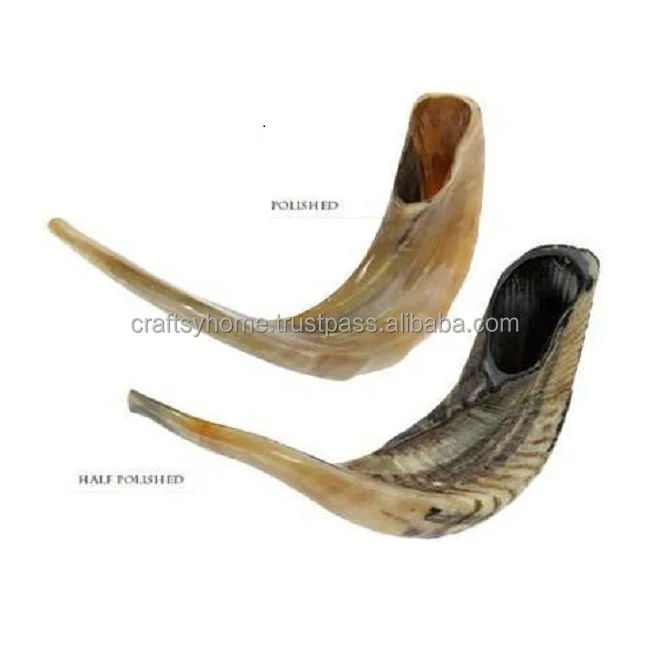 Ram Horn Shofar Natural Horn Shofar For Blowing Top Quality Kosher Shofar Kudu Polished Ram Horn at Low Price