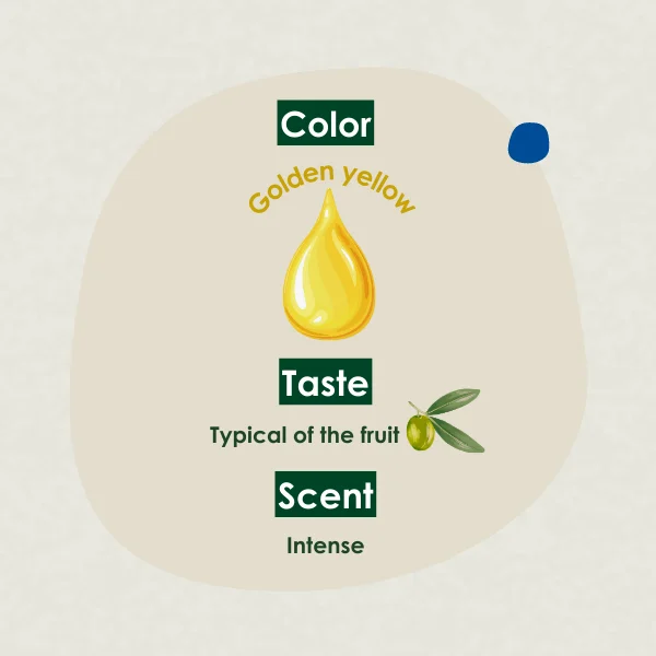 Hight Quality  Extra Virgin Olive Oil Origin Greece 500ml | Organic Oil | Vegan | Ready For Shipping