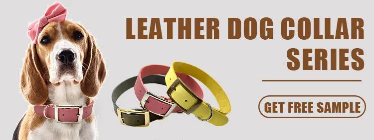 Dog Collar T16-1 N3L00