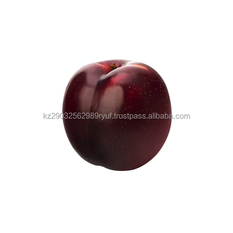 Plum fruits are large and the most delicious ripe sweet perfectly refreshes and charges with vitamins