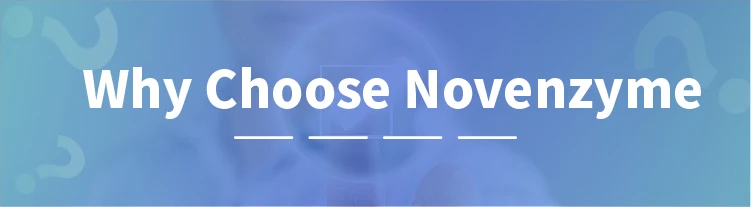 Why Choose Us