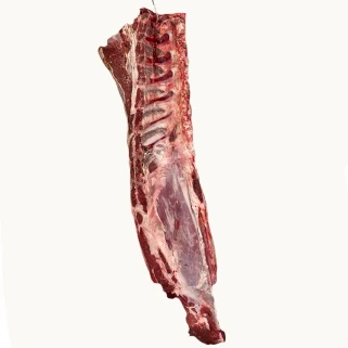 V. B.A.C. PGI Meat for export Chianina bovine whole loin fresh meat beef food