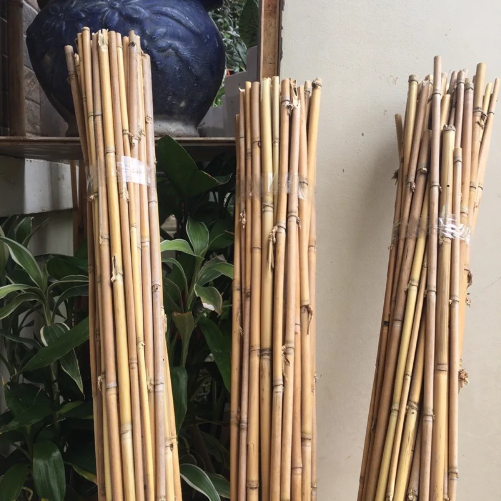 Natural Bamboo Stick For Plant/ Bamboo Stick For Supporting Flower With High Quality Bamboo in Vietnam Made by Eco2go