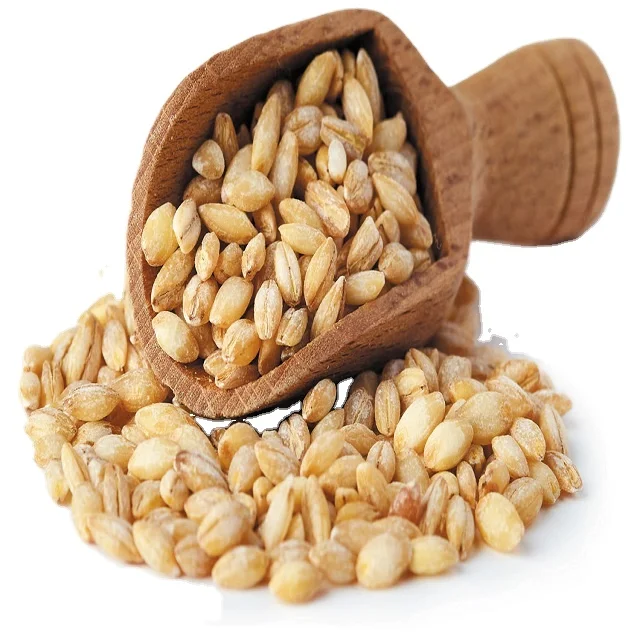 Ячмень чистый травяной зеленый пшеничный ячмень трава сок экстракт порошковый экстракт ячменной травы