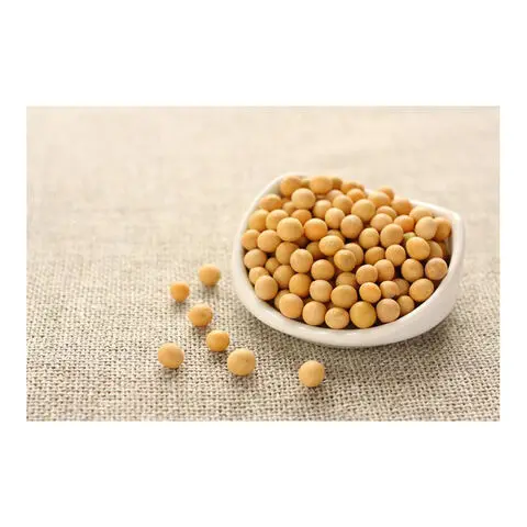 Non Gmo Soybeans / Soya Beans Soy bean Seeds and Soya bean Seeds