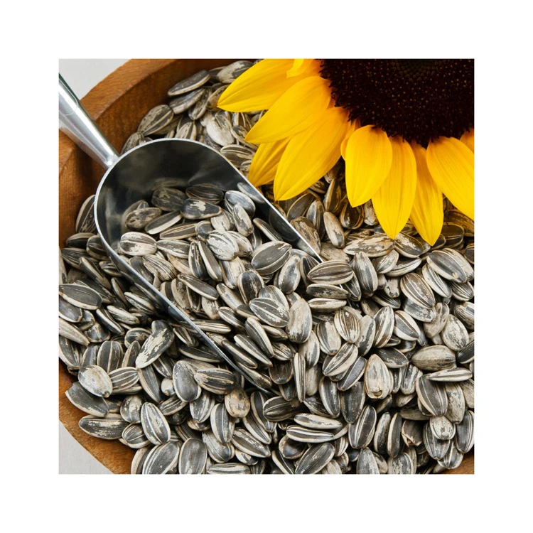 Factory Direct Sales Healthy Pure Natural Vegetable Nuts Newest Crop Organic Bulk Sunflower Seeds