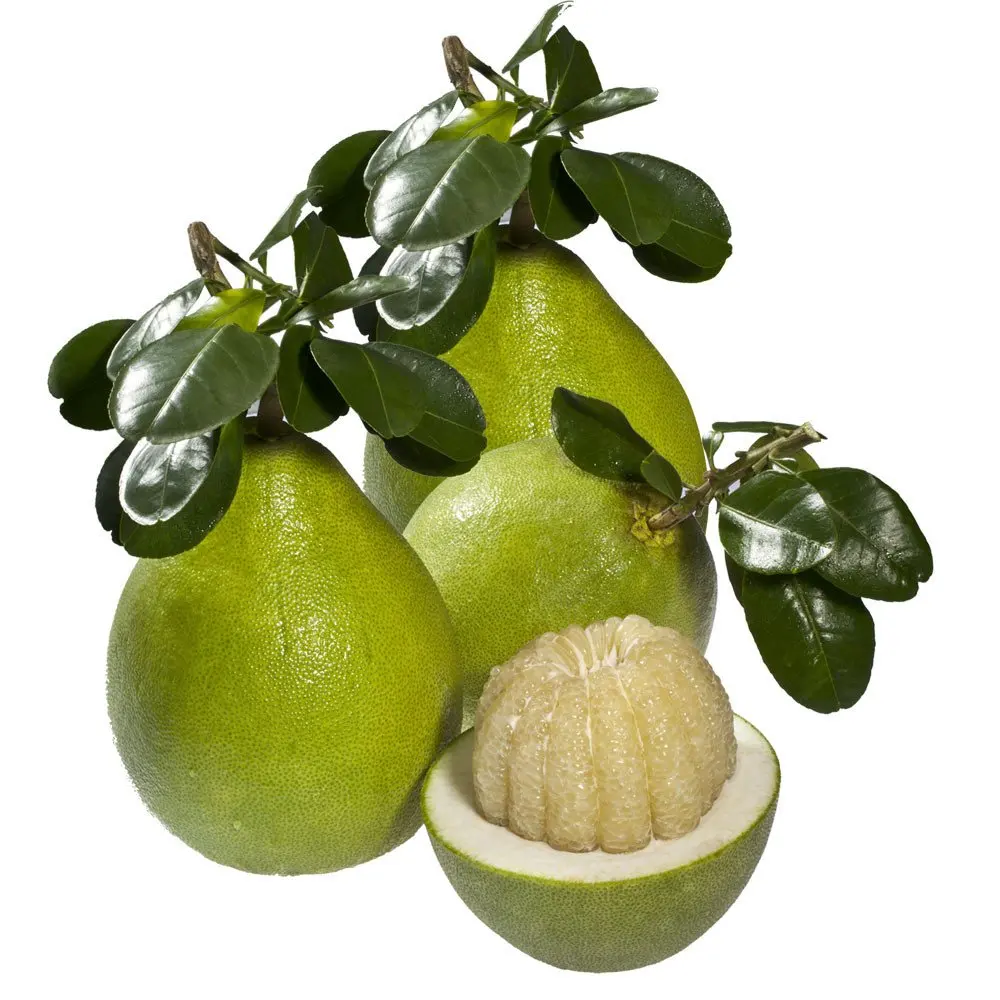 Pomelo Honey 2022 Whole Box Fruit Sweet Crysta White Heart Pomelo Seasonal Fresh Honey Pomelo