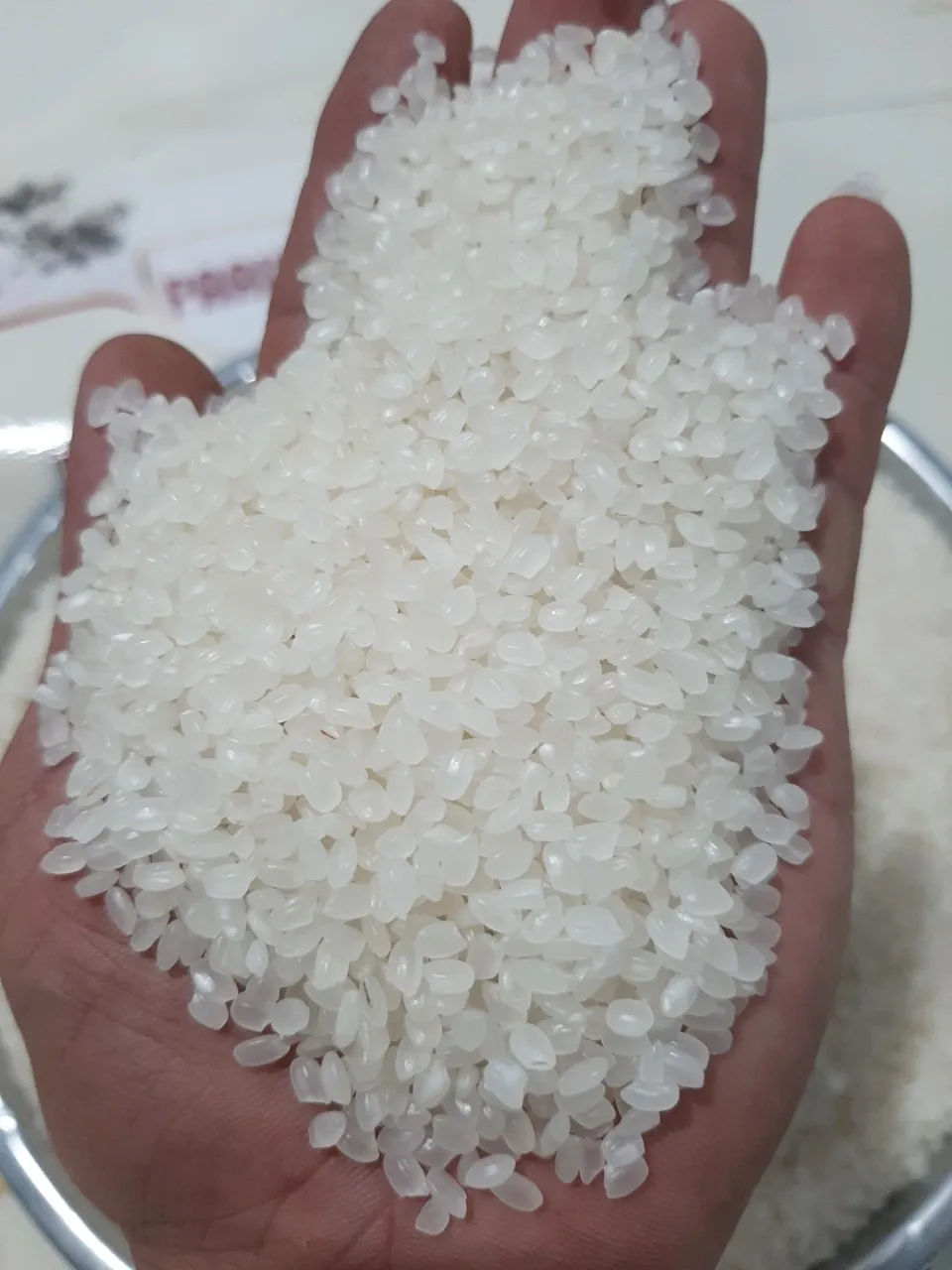 Wholesale Japanese Rice Premium Delicious White Short Grain 2023 - WA:84-975807426 Lucy