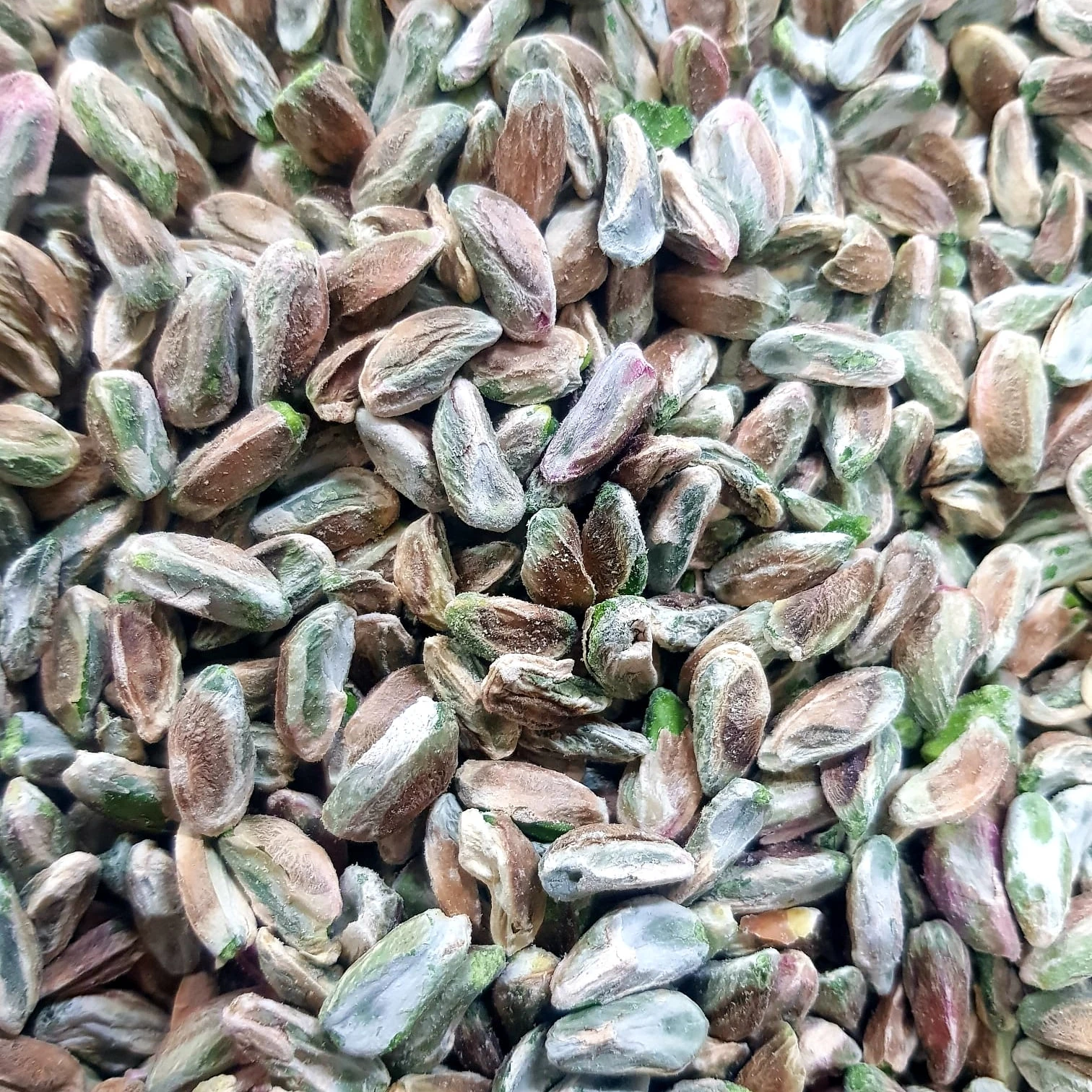 Bulk New Harvest Best Quality -Shelled Roasted and Salted Pistachio Nuts - FROM TURKEY