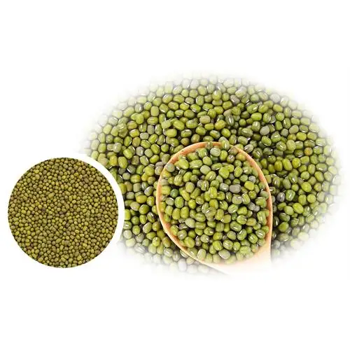 New Crop Cheap Price Green Mung Beans