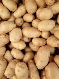 New crop mesh bag pack Yellow flesh potato wholesale fresh potato ,and Supplier beautiful to eat, delicious, 100% halal