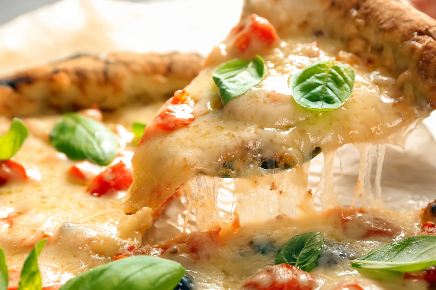 Made in Italy Frozen White Pizza Multigrain - Box with 6 Pizza - Flatbread with Extra Virgin Olive Oil for Restaurants