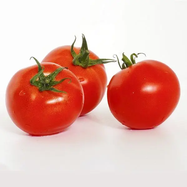 premium Wholesale for tomato paste / ketchup tomato - Organic tomato can / tomato powder at cheap price