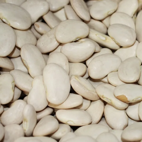 Dried  Lima Beans