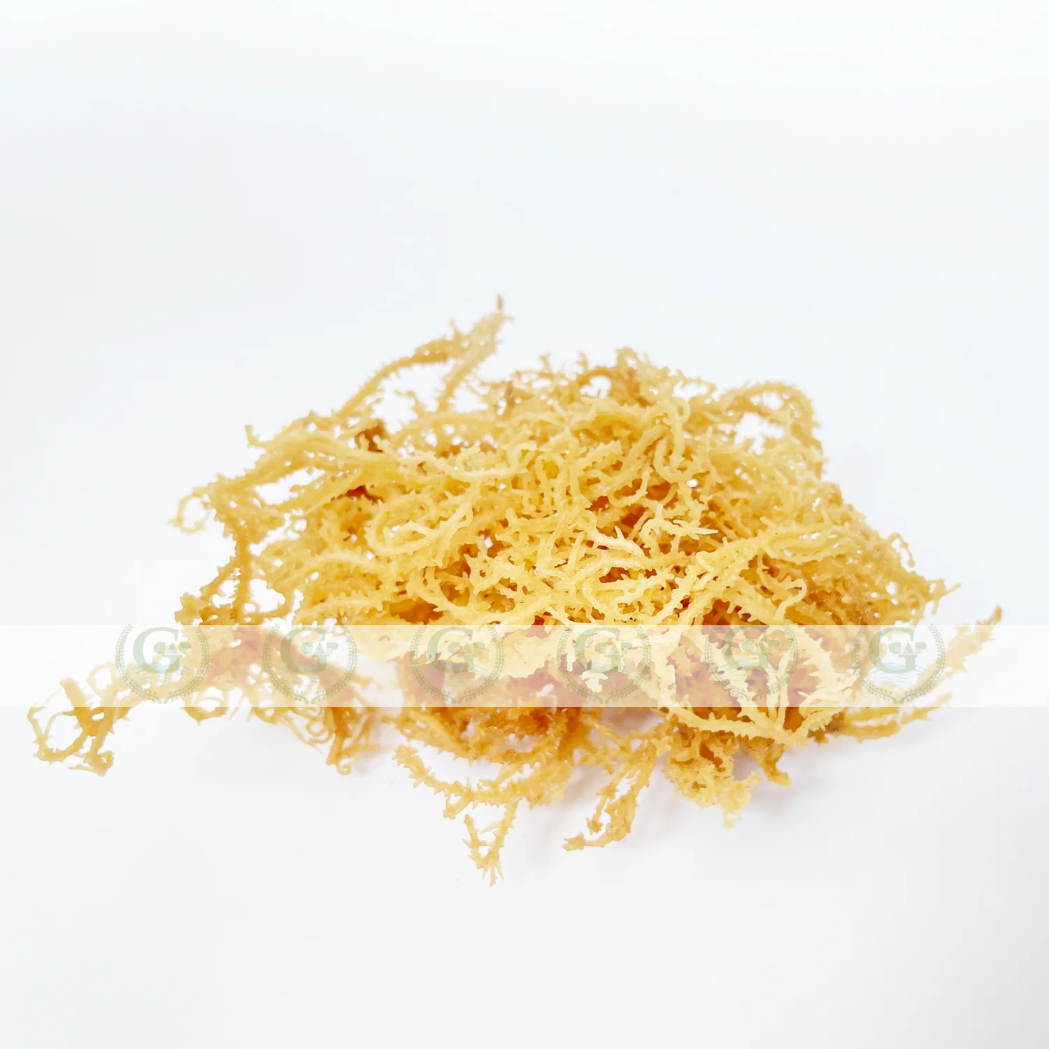 Сушеный морской мох сушеный Eucheuma cottonii дикая работа сырье superfood ирландский натуральные водоросли GCAP VN от производителя