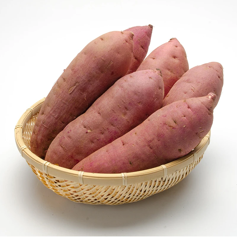 New Arrival Fresh Sweet Potatoes Egyptian Wholesale Sweet Potatoes Suppliers 100% Natural Cheap Price