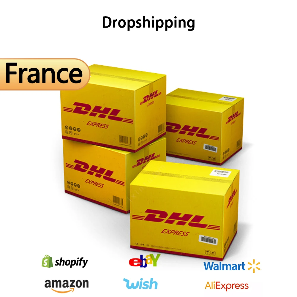 china to France  express shipping