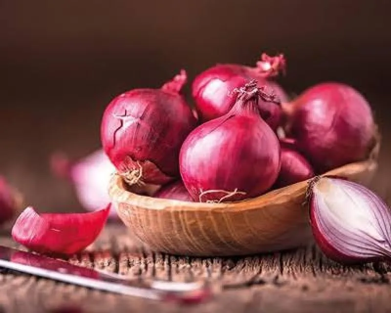 We are selling fresh red onion at very low price along with customized logo and customer packing