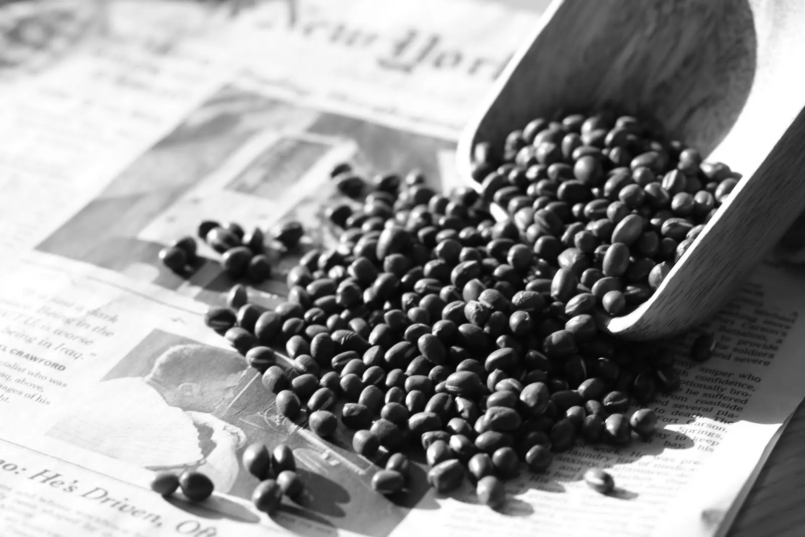 Dried Black Bean 8.jpg