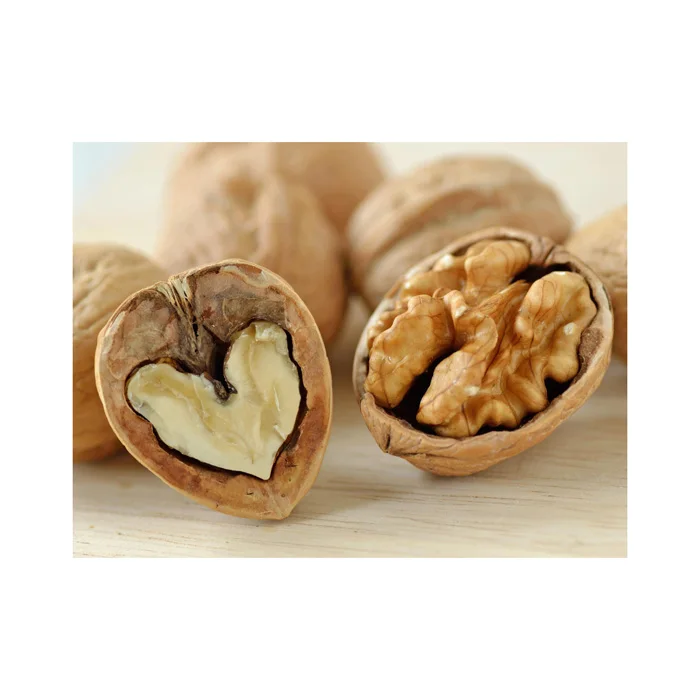 Wholesale Supplier Walnuts For Sale In Cheap Price