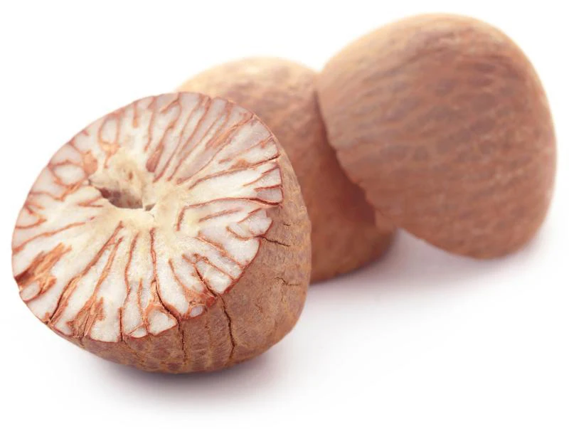 High Quality New Crop Betel Nuts Ready To Export From Thailand Best Price Feet For Bangladesh / India / Pakistan Market