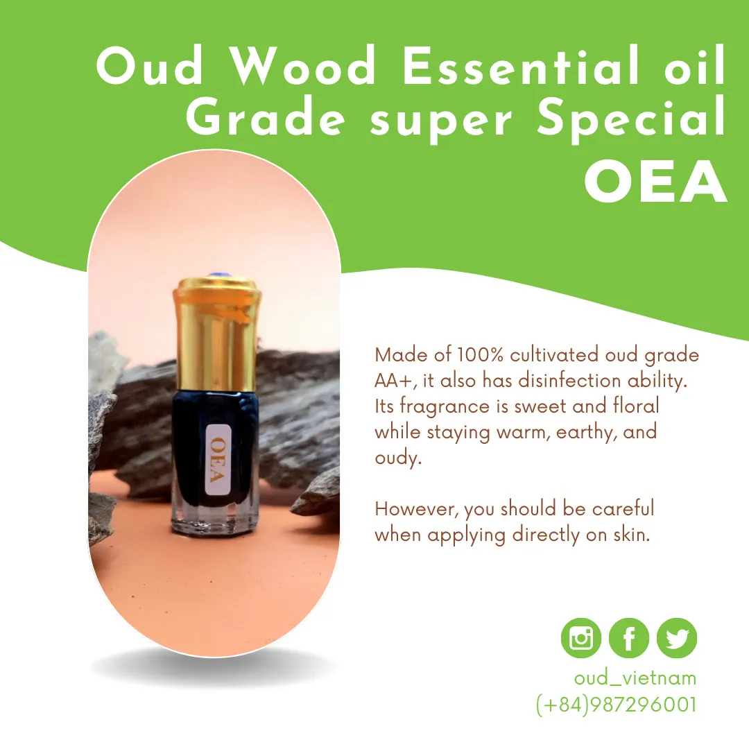 High quality 100% Essential Oud oil natural from Vietnam Long Lasting Fragrance Pure Agarwood Oud making Luxuryperfume