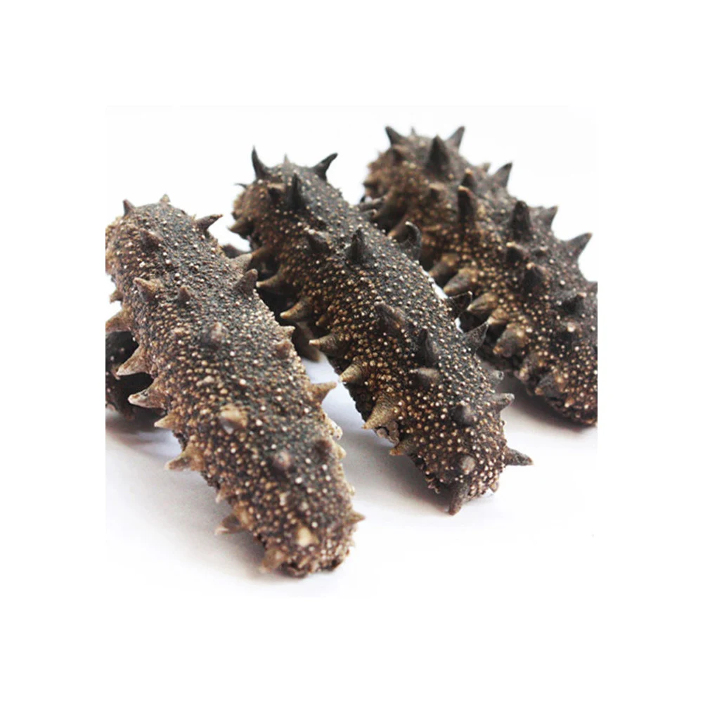 Wholesale Greece High Quality Fresh Seafood Fresh Delicious Dried Wild Animal Sea Cucumber