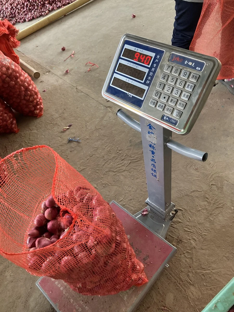 Bawang Kecil Siam Thai Vegetable Fresh Red Shallot +66934602728 Onion Mesh Bag Premium Grade from Thailand