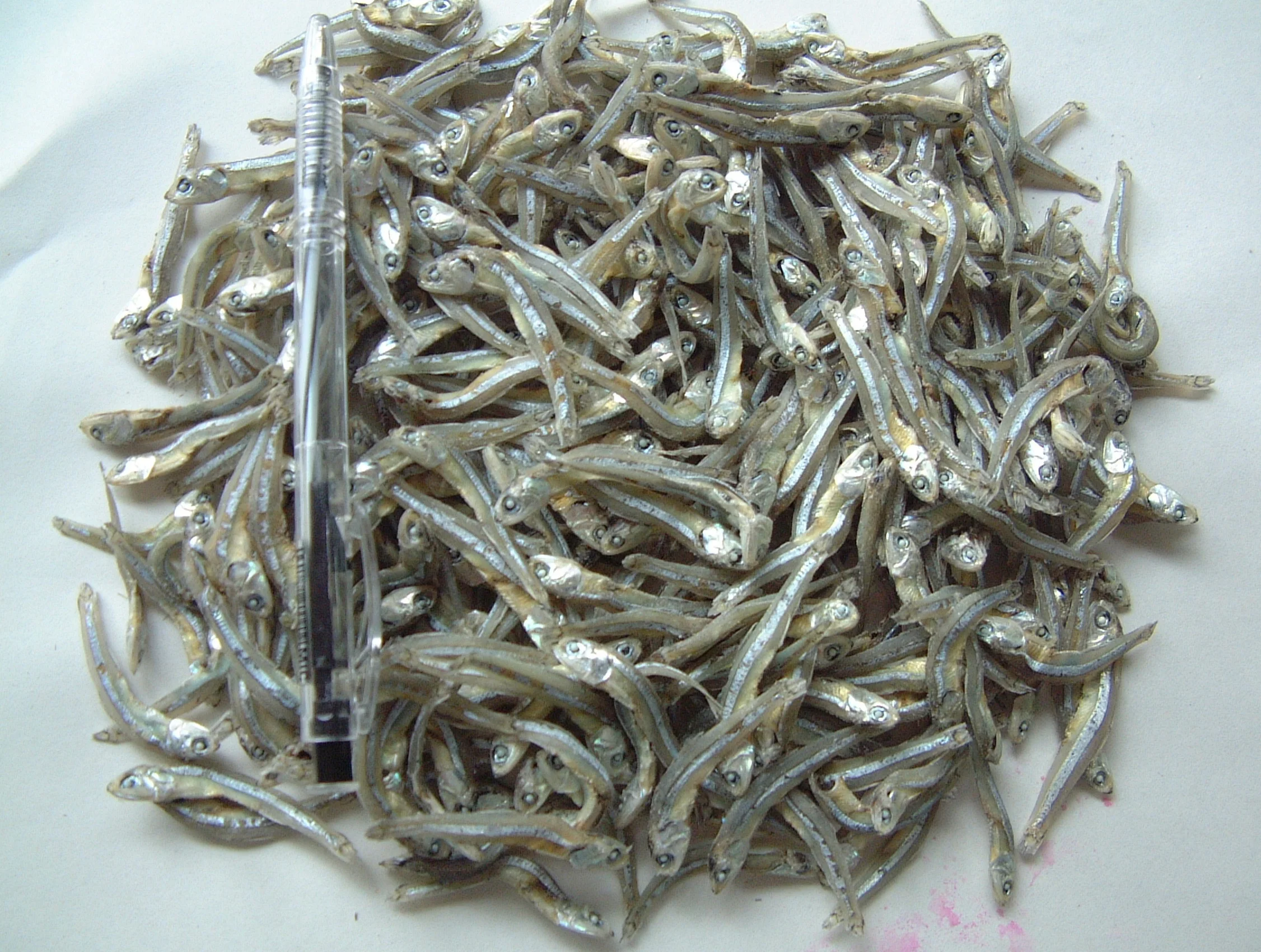 DRIED ANCHOVY FROM VIETNAMESE WHOLESALER - DRY ANCHOVY WITH BEST PRICE AND PREMIUM QUALITY - ANCHOVIES DRIED FOR FOOD