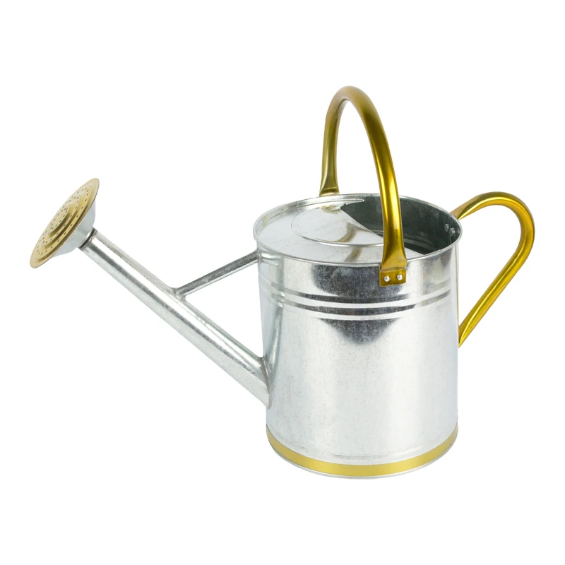 Modern Style Factory Price Custom High Quality Metal Oval Galvanized Water Cans Garden For Farm And Garden Planter Cane