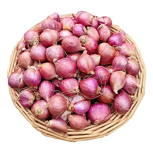 Vegetables used for cooking fresh red onion which you can get from us we wholesale all over the world sale