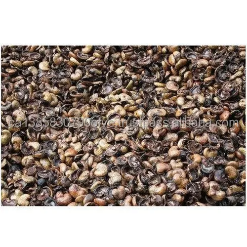 Cashew Nut Shell Waste.jpg