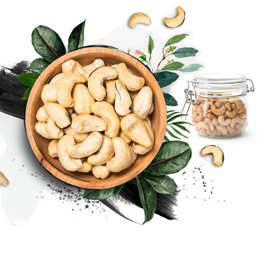 raw white whole cashew export from India